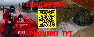 крисы Кулебаки