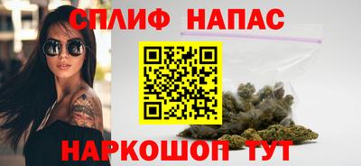 крисы Кулебаки